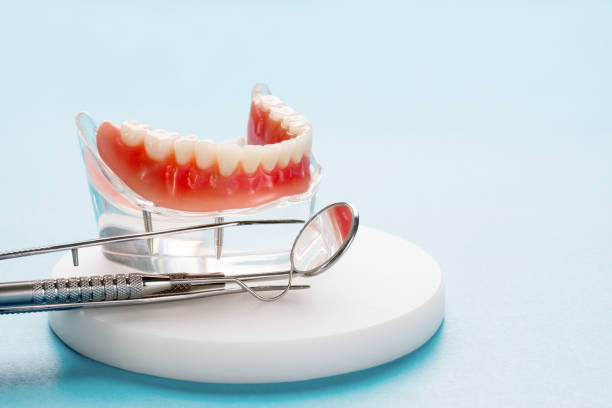 Professional Dental Services in Point Roberts, WA